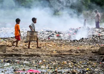 Reducing Poverty with Fundamental Programs