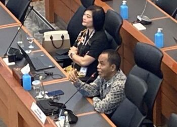 Economist Reminds Government To Be Careful Determines This Year's Tax Policy